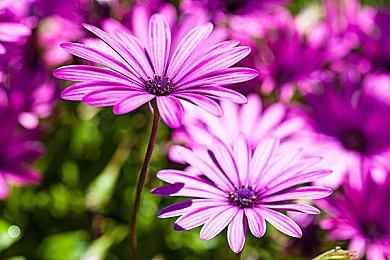 《夜族崛起》Steam 限时免费游玩进行中