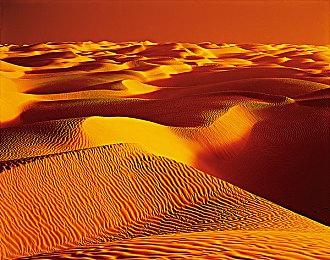 Xbox Q2收入下滑7% 硬件销量暴跌29%